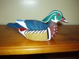 wood duck