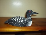 loon