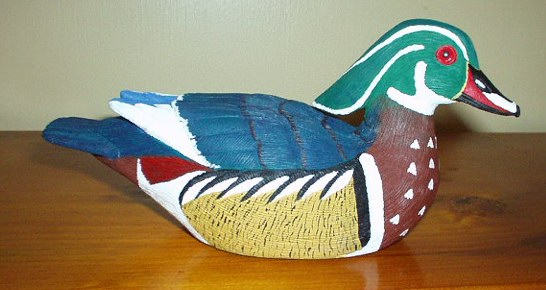 WOOD DUCK